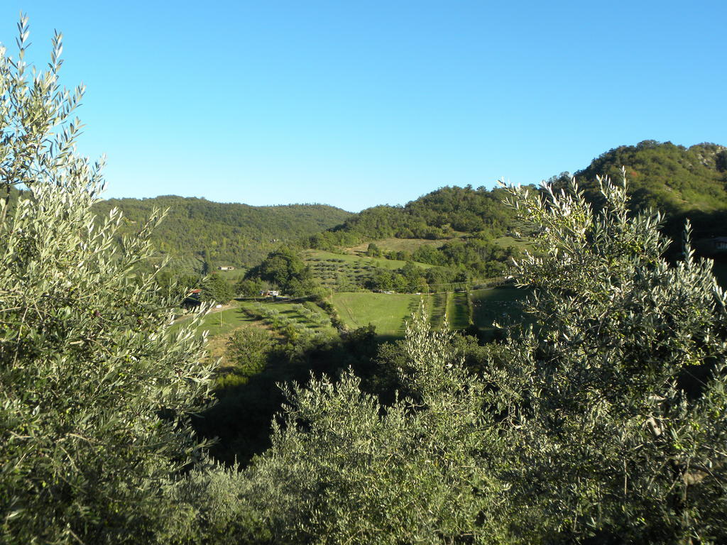 Casa Vittoria Lejlighed Piano Delle Pieve Værelse billede